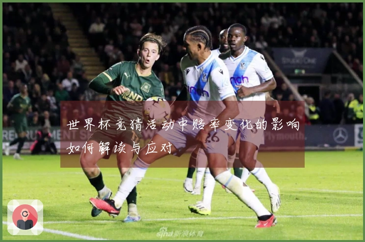 世界杯竞猜活动中赔率变化的影响如何解读与应对
