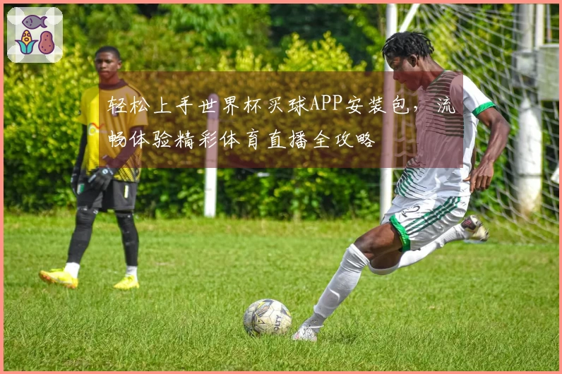轻松上手世界杯买球APP安装包，流畅体验精彩体育直播全攻略
