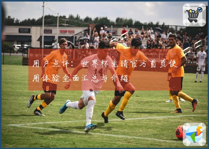 用户点评：世界杯竞猜官方首页使用体验全面汇总与介绍