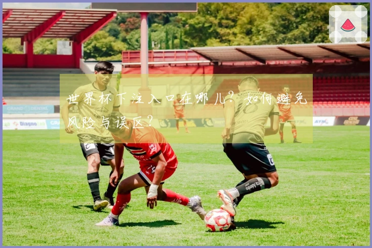 世界杯下注入口在哪儿？如何避免风险与误区？