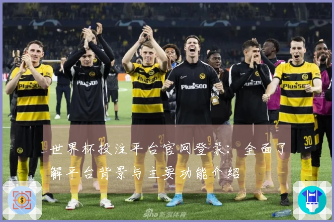 世界杯投注平台官网登录：全面了解平台背景与主要功能介绍