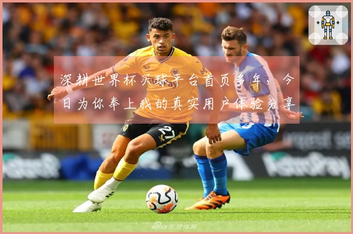深耕世界杯买球平台首页多年，今日为你奉上我的真实用户体验分享