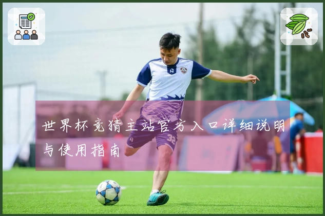 世界杯竞猜主站官方入口详细说明与使用指南