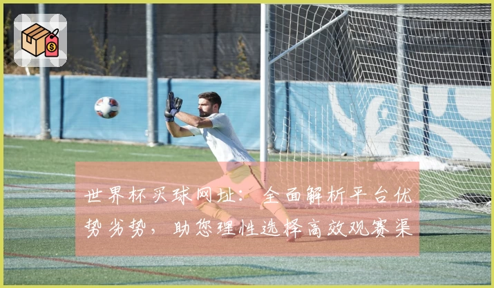 世界杯买球网址：全面解析平台优势劣势，助您理性选择高效观赛渠道