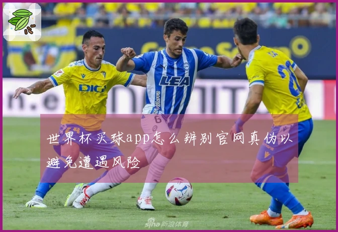 世界杯买球app怎么辨别官网真伪以避免遭遇风险