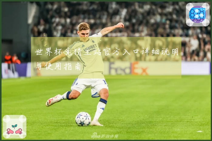 世界杯竞猜主站官方入口详细说明与使用指南
