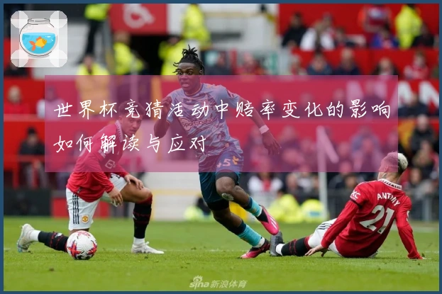 世界杯竞猜活动中赔率变化的影响如何解读与应对