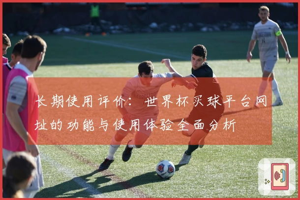 长期使用评价：世界杯买球平台网址的功能与使用体验全面分析