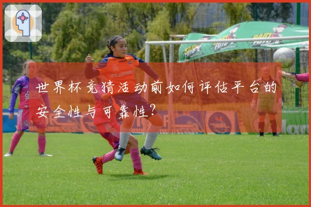 世界杯竞猜活动前如何评估平台的安全性与可靠性？